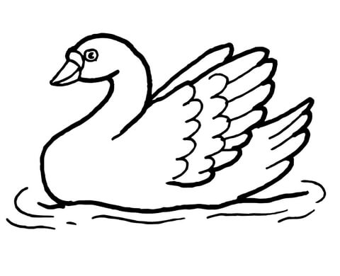 Swan In The Water Coloring Page